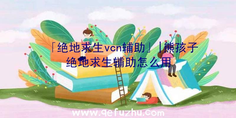 「绝地求生vcn辅助」|熊孩子绝地求生辅助怎么用